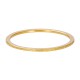 iXXXi vulring sandblasted goud 1mm