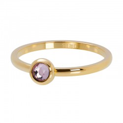 iXXXi vulring zirkonia steen roze goud