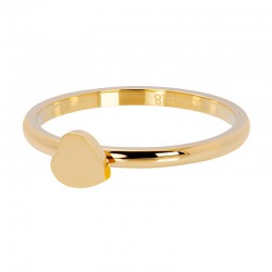 iXXXi vulring hart goud 2mm 