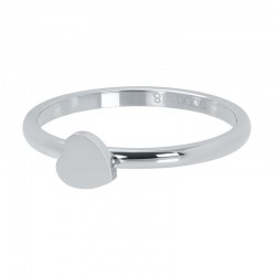 iXXXi vulring hart symbool zilver 2mm