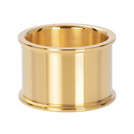 iXXXi basisring goud 14mm