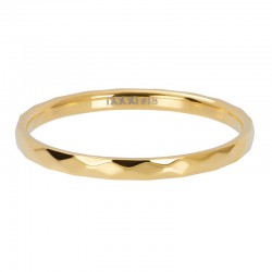 iXXXi vulring hammerite goud 2mm