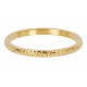 iXXXi vulring dancer goud 2mm