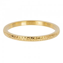 iXXXi vulring dancer goud 2mm