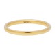 iXXXi vulring small smooth goud 2mm