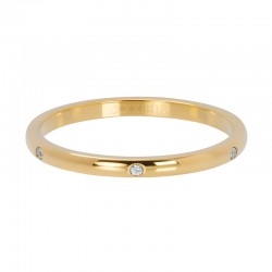 iXXXi vulring elegance goud 2mm
