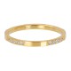 iXXXi vulring chic goud 2mm