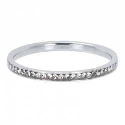 iXXXi vulring zirkonia crystal zilver 2mm