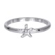 IxxxI vulring zeester zilver