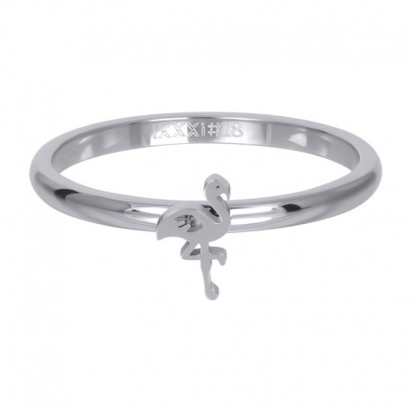 iXXXi vulring flamingo zilver