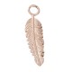 ixxxi charm veer rosé