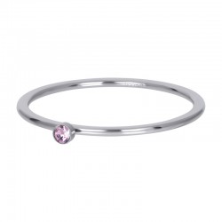 IXXXI Vulring crystal stone roze zilver