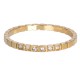 ixxxi vulring palace goud 2mm